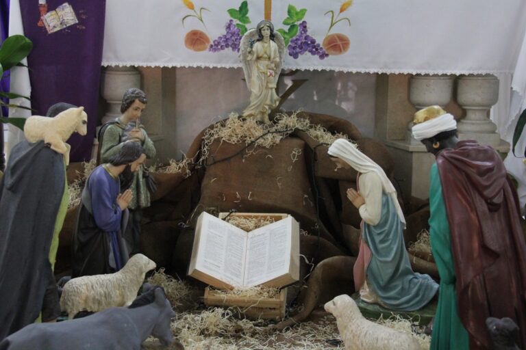 WhatsApp Image 2025-12-24 at 10.02.24