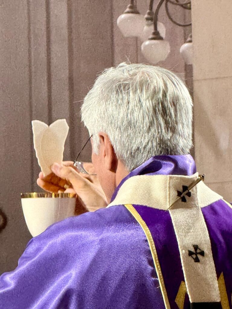 WhatsApp Image 2026-03-01 at 14.37.32 (2)